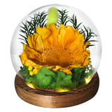 AINYROSE LED Forever Sunflower