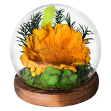 AINYROSE LED Forever Sunflower