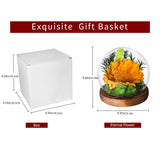 AINYROSE LED Forever Sunflower