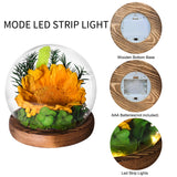 AINYROSE LED Forever Sunflower