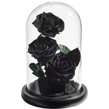 AINYROSE Forever Rose-3 pcs