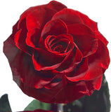 AINYROSE Forever Rose-3 pcs