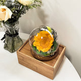 AINYROSE LED Forever Sunflower