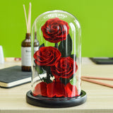 AINYROSE Forever Rose-3 pcs