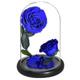AINYROSE Forever Rose-Black