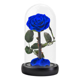 AINYROSE Classic Blue Forever Rose