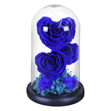 AINYROSE Forever Heart Rose-3 pcs