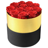 AINYROSE Classic Forever Rose Box 12 pcs-US Shipping