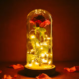 AINYROSE Silk Forever Rose With Light