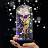 AINYROSE Enchanted Galaxy Forever Rose