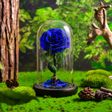 AINYROSE Classic Blue Forever Rose