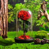 AINYROSE Classic Red Forever Rose