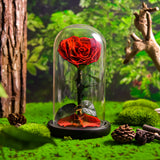 AINYROSE Forever Heart Rose