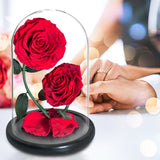 AINYROSE Forever Rose-Black