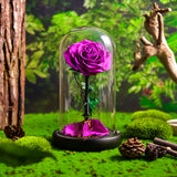 AINYROSE Classic Purple Forever Rose