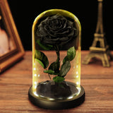 AINYROSE Forever Rose In Glass