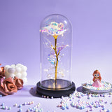 AINYROSE Forever Galaxy Rose