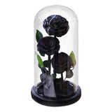 AINYROSE 3Pcs Forever Rose Black