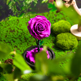 AINYROSE Forever Rose In Glass With Light Purple