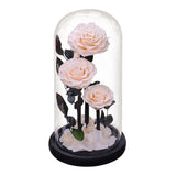 AINYROSE 3Pcs Forever Rose