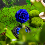 AINYROSE Forever Rose In Glass With Light Blue