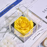 AINYROSE Acrylic Rose Box