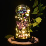 AINYROSE Enchanted Butterfly Rose Galaxy Forever Rose