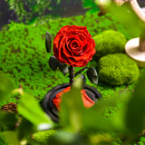 AINYROSE Classic Red Forever Rose