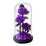 AINYROSE 3Pcs Forever Rose Black