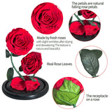 AINYROSE Forever Rose-Black