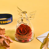 AINYROSE New Angel Forever Rose-4 Colors
