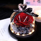 AINYROSE LED Forever Heart Rose Pink