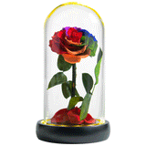 AINYROSE Forever Rose In Glass