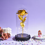 AINYROSE Forever Galaxy Rose
