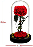 AINYROSE Forever Rose In Glass