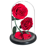 AINYROSE Forever Rose-Black