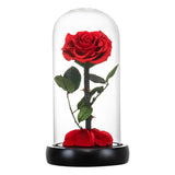 AINYROSE Classic Red Forever Rose