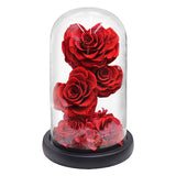 AINYROSE Forever Heart Rose-3 pcs