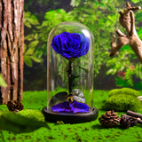 AINYROSE Forever Heart Rose -Blue