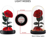 AINYROSE Forever Rose In Glass