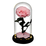 AINYROSE Forever Rose In Glass With Light Pink