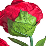 AINYROSE Forever Rose-Black