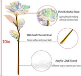 AINYROSE Enchanted Galaxy Forever Rose