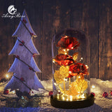 AINYROSE 24K Gold Leaf Roses-Red