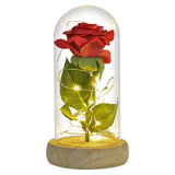 AINYROSE Silk Forever Rose With Light