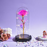AINYROSE Forever Galaxy Rose