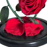 AINYROSE Forever Rose-Black