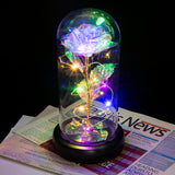 AINYROSE Forever Galaxy Rose