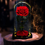 AINYROSE Forever Rose In Glass