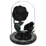 AINYROSE Forever Rose-Black